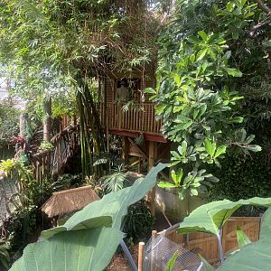 Plantasia - View towards Alfred Wallace exhibit 050923