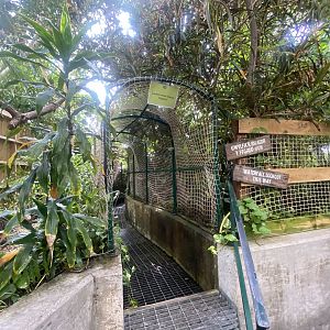 Plantasia - Waterfall Lookout walkway 050923