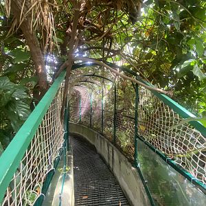 Plantasia - Waterfall Lookout walkway 050923