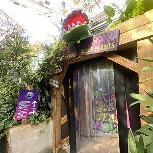 Plantasia - Entrance to Killer Plants 050923