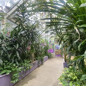 Plantasia - Killer Plants walkway 050923