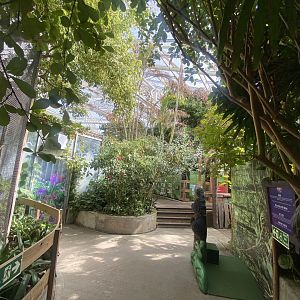 Plantasia - Rainforest Upper Level 050923