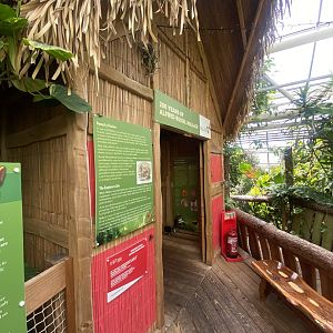 Plantasia - Entrance to Alfred Wallace exhibit 050923
