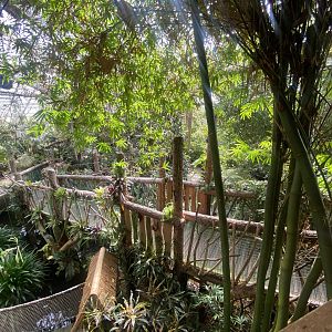 Plantasia - View from upper level 050923