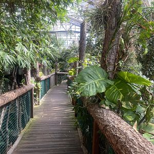 Plantasia - Walkway down 050923