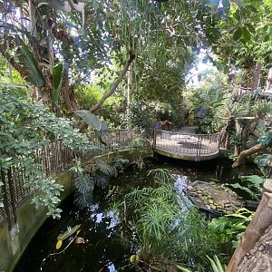 Plantasia - Pool in Rainforest area 050923