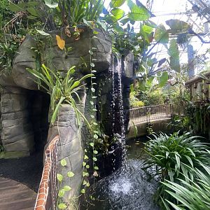 Plantasia - Waterfall 050923