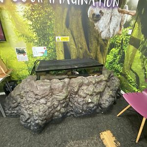 Plantasia - Axolotl exhibit 050923