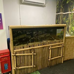 Plantasia - Manyara tilapia exhibit 050923