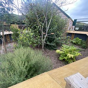 Currently empty exhibit 130923