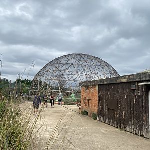 View towards larger lemur dome 130923