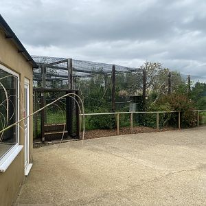 Former lemur enclosure 130923