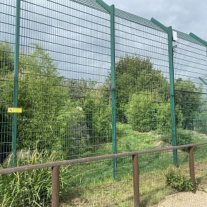 Southeast African lion enclosure no.1 130923