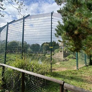 Tiger enclosure no.1 130923