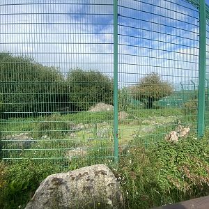 Tiger enclosure no.2 130923