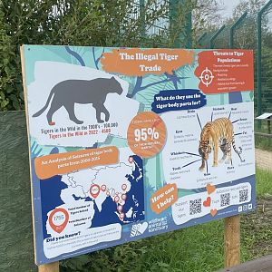 Tiger information sign 130923