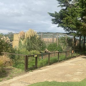 View towards Grivet enclosure 130923