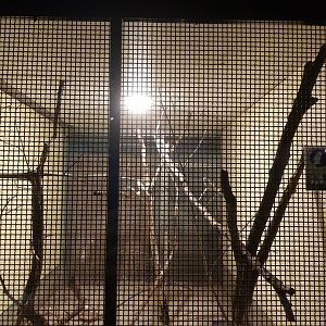 Natuurhulpcentrum Opglabbeek