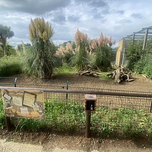 Cape porcupine enclosure 130923