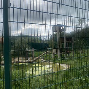 Northern lynx enclosure 130923