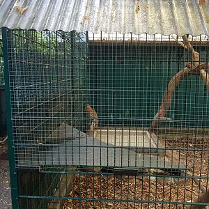 Natuurhulpcentrum Opglabbeek Serval