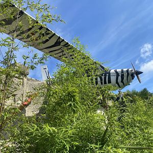 Aeroplane on roof 140923