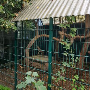 Natuurhulpcentrum Opglabbeek Serval