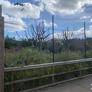 Ring-tailed lemur walkthrough 140923