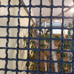 Natuurhulpcentrum Opglabbeek Owls