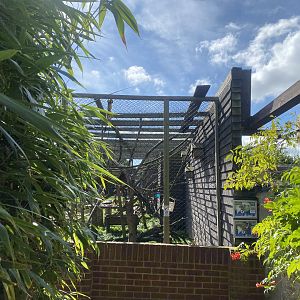 Mixed Squirrel monkey enclosure 140923