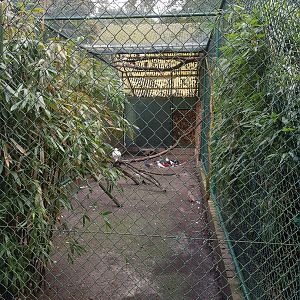 Natuurhulpcentrum Opglabbeek aviary with doves