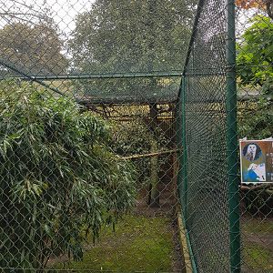 Natuurhulpcentrum Opglabbeek Barn owls