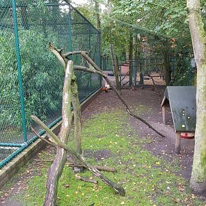 Natuurhulpcentrum Opglabbeek Chicken coop
