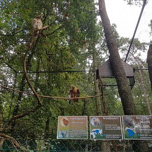 Natuurhulpcentrum Opglabbeek exotic aviary