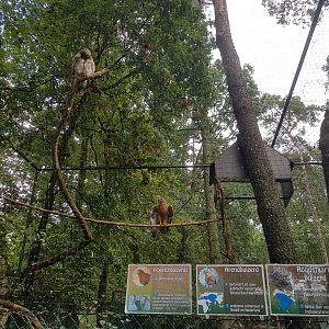 Natuurhulpcentrum Opglabbeek exotic aviary