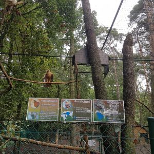 Natuurhulpcentrum Opglabbeek exotic aviary