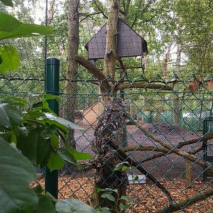 Natuurhulpcentrum Opglabbeek exotic aviary