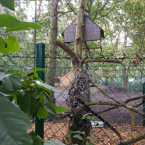 Natuurhulpcentrum Opglabbeek exotic aviary