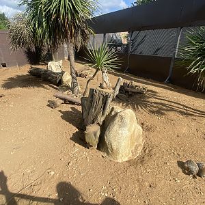 Meerkat enclosure 140923