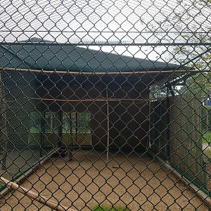 Natuurhulpcentrum Opglabbeek Corvid aviary