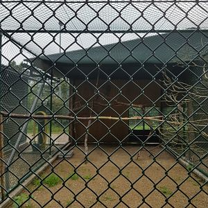 Natuurhulpcentrum Opglabbeek Raptor aviary