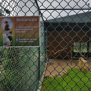 Natuurhulpcentrum Opglabbeek Raptor aviary