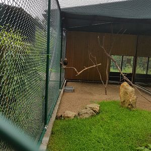 Natuurhulpcentrum Opglabbeek Raptor aviary