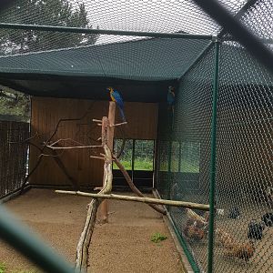 Natuurhulpcentrum Opglabbeek Blue-and-yellow macaw aviary