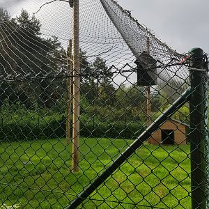 Natuurhulpcentrum Opglabbeek goat aviary