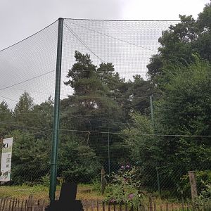 Natuurhulpcentrum Opglabbeek Largest aviary and final step before release