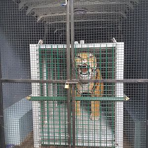 Natuurhulpcentrum Opglabbeek Inside of a transport van