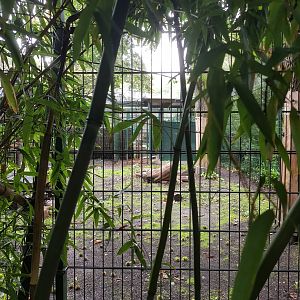 Natuurhulpcentrum Opglabbeek Lions