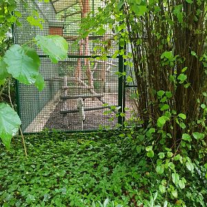 Natuurhulpcentrum Opglabbeek crab eating macaque