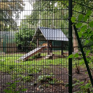 Natuurhulpcentrum Opglabbeek Lions